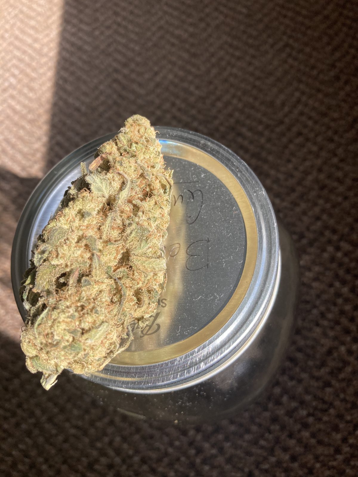 Cured home-grown cannabis bud in glass jar after a successful ILGM grow